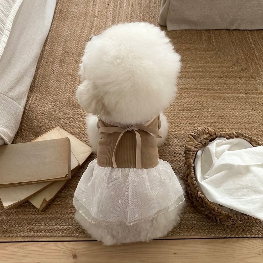 Vestido de Renda para Animais  - Lace Teddy Lingerie avaliação e preço